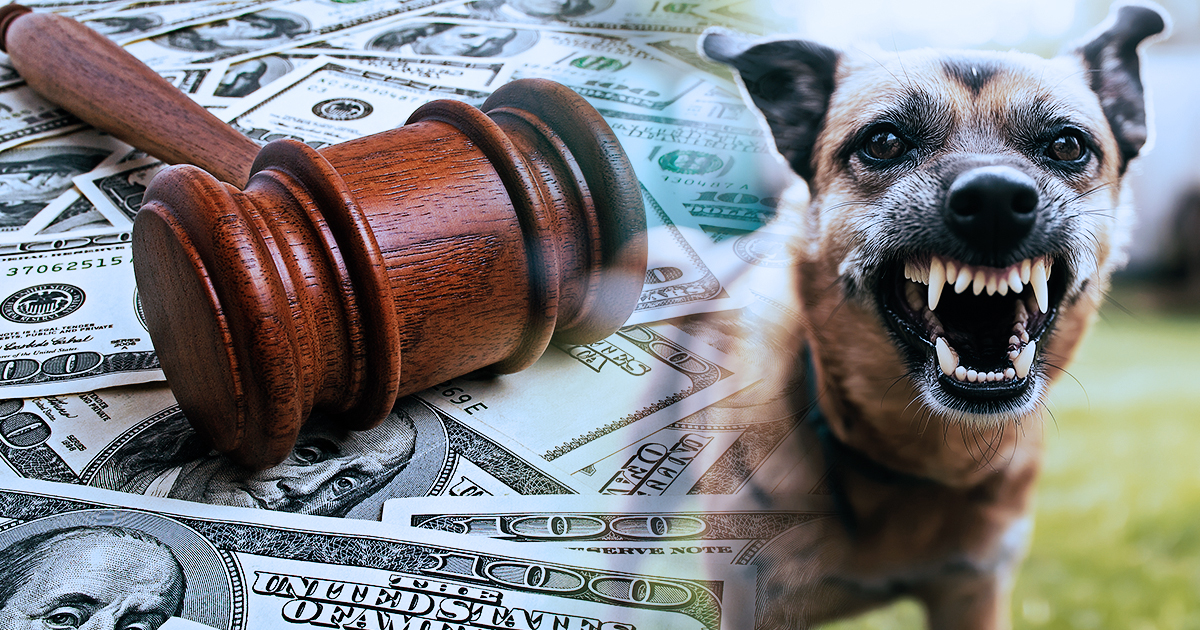 How One Court Case Gave Hudson Valley Dog Bite Victims More Recourse